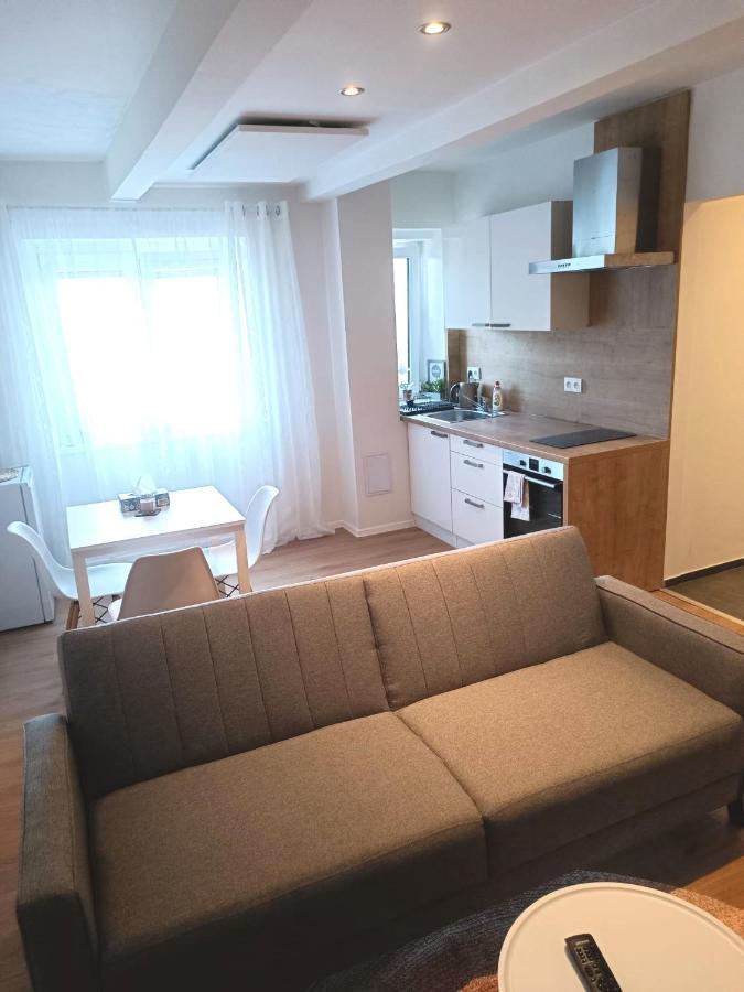 Zoo Karlovarska Apartment 플젠 외부 사진