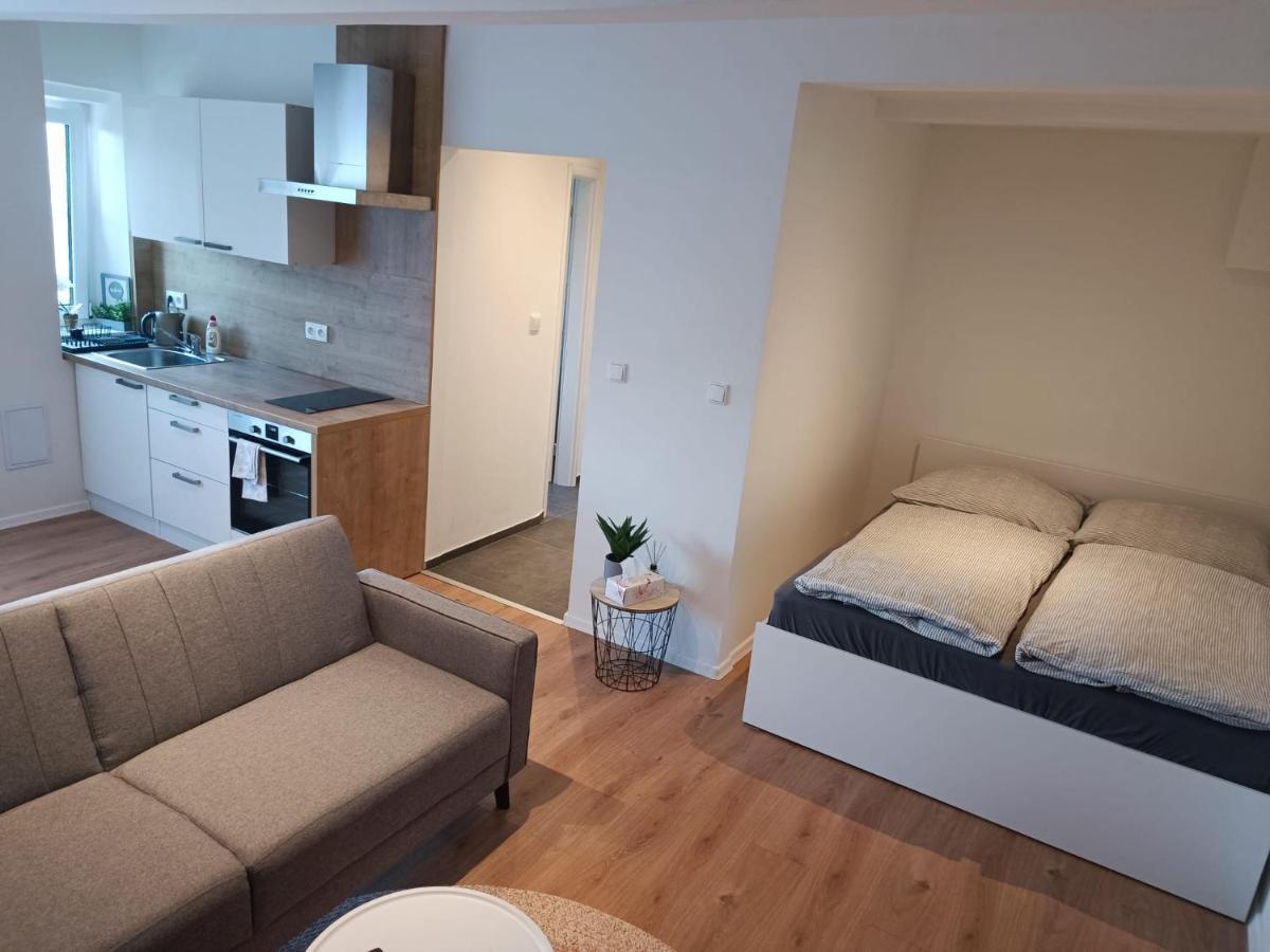 Zoo Karlovarska Apartment 플젠 외부 사진